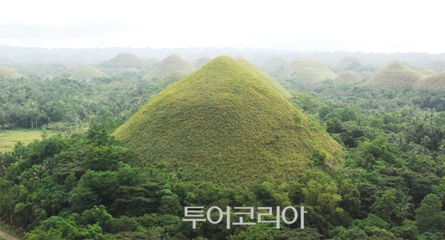 여행을부탁해 이미지