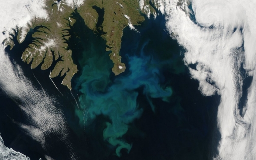 식물 플랑크톤이 대량 증식하고 있는 이 사진은 아이슬란드 해안에서 2010년 NASA의 지구관측위성 ‘아쿠아’가 촬영했다.