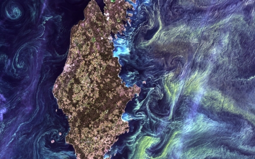 반 고흐의 그림처럼 발트해에 있는 스웨덴 고틀란드섬 주변의 어둑어둑한 물속에서 녹색을 띤 식물성 플랑크톤의 거대한 덩어리가 소용돌이치고 있다.