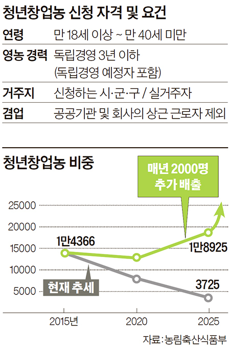 청년창업농