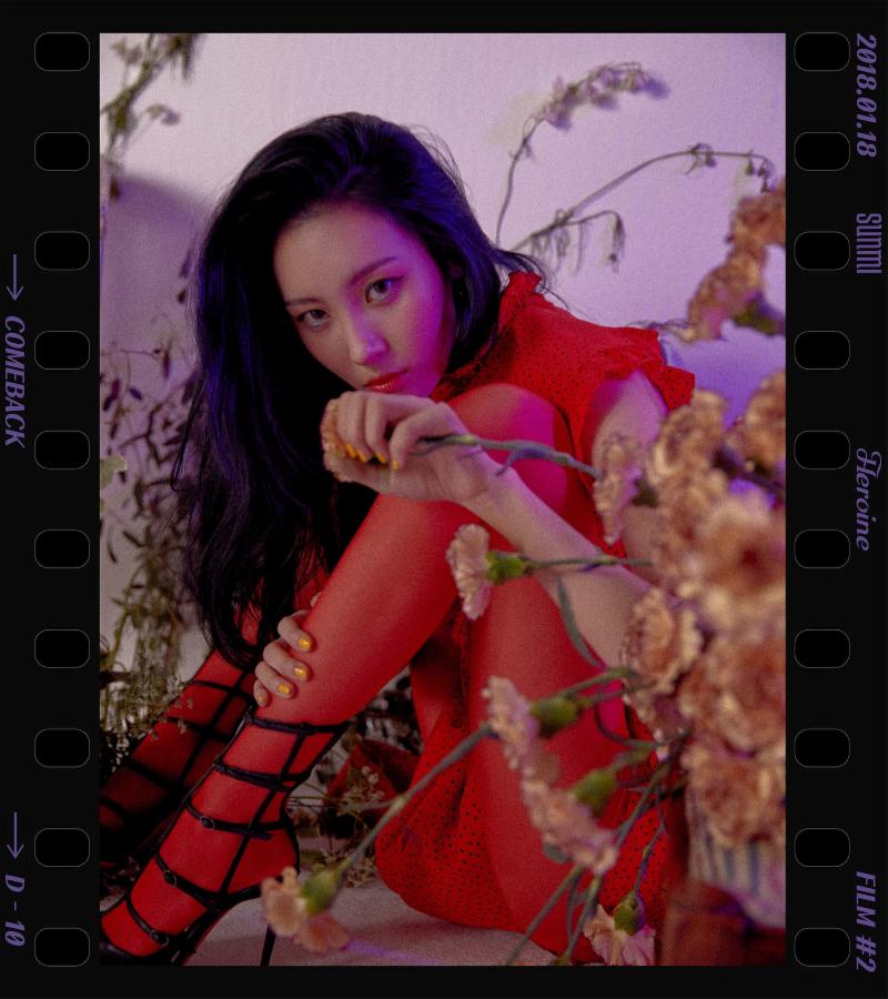 선미 이미지