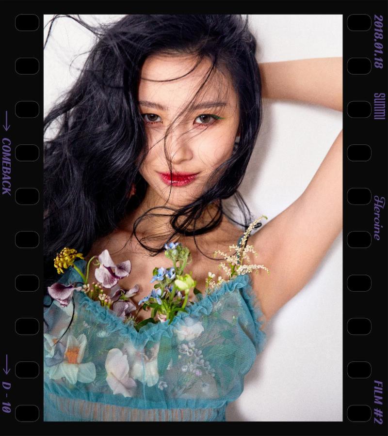 선미네 이미지