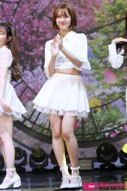 미미록 이미지