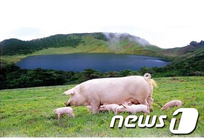 원대축산 이미지