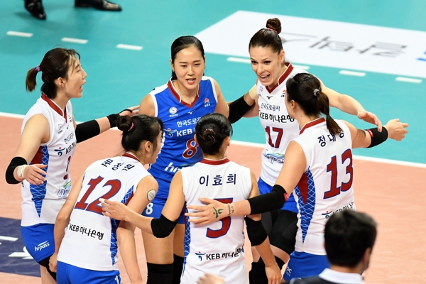 도로이 이미지