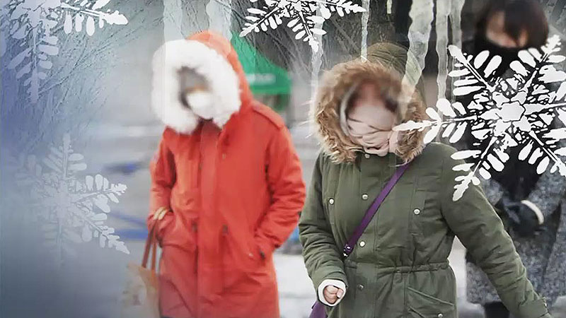 서해안(주) 이미지