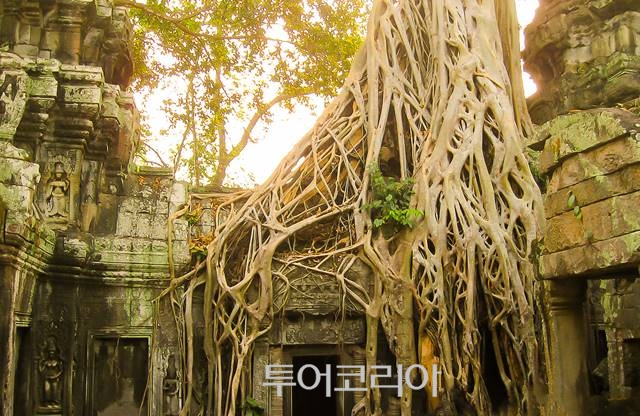 여행을부탁해 이미지