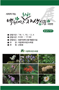 백두 이미지