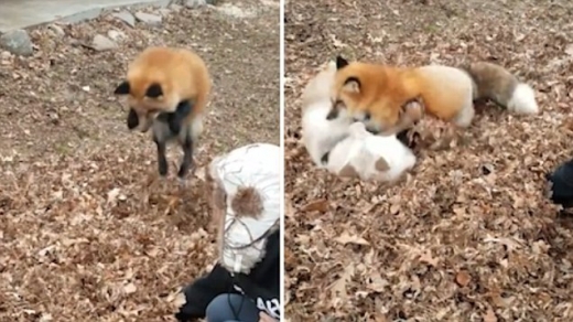 (주)행복한농장 이미지