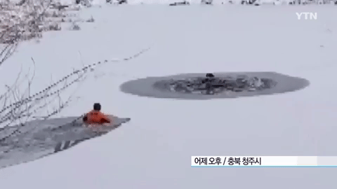 20180111020855981hewj.gif