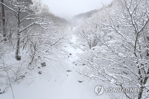 폭설이 만든 한라산 절경