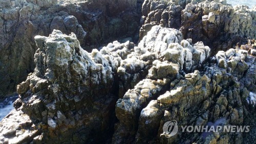 부산 추위에 갯바위도 꽁꽁 [이기대관리사무소 정화갑 소장 제공 =연합뉴스]