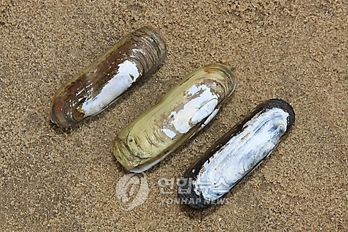 순천만영어조합법인 이미지