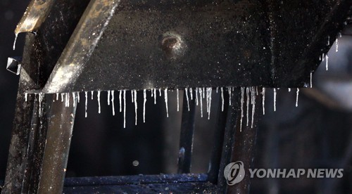 쌍방울주 이미지