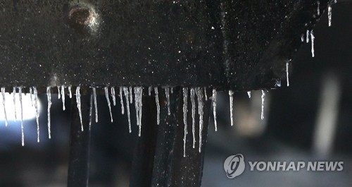 쌍방울주 이미지