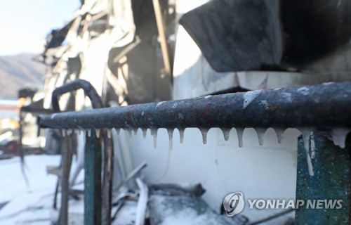 쌍방울주 이미지