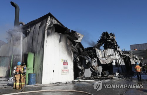 쌍방울주 이미지