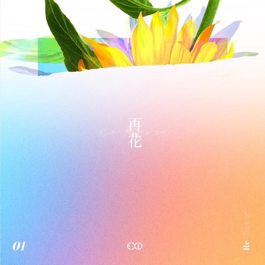 솔지 이미지