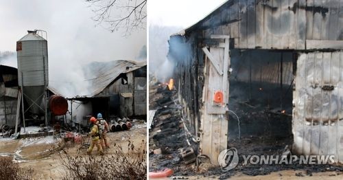 양평닭한마리 이미지