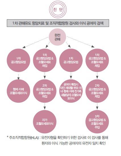 급성골수성백혈병 치료 개념도. 공고요법은 잔류 백혈병 세포를 최대한 없애려는 목적으로 시행하는 항암요법을 말한다. [서울성모병원 제공=연합뉴스]