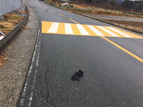 死んだからす (競走=連合ニュース) 17日慶北慶州市外東邑慕華里一道に死んだからすが置かれている. 2018.1.18 [大邱地方環境庁提供=連合ニュース]