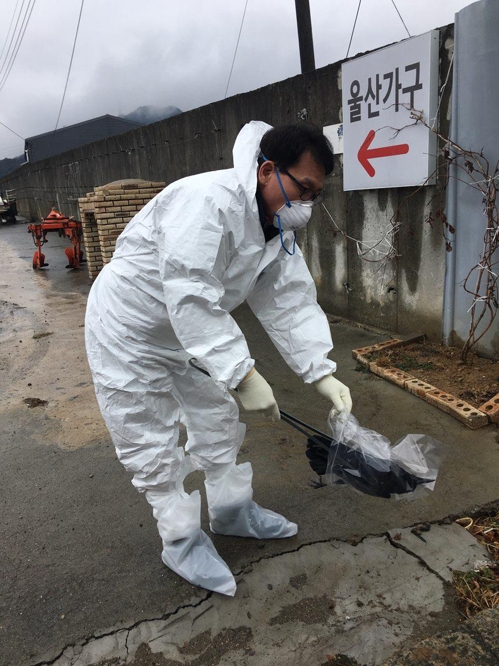 からす収去 (競走=連合ニュース) 17日慶北慶州市外東邑慕華里で慶州市関係者が死んだからすを袋に盛っている. 2018.1.18 [大邱地方環境庁提供=連合ニュース]