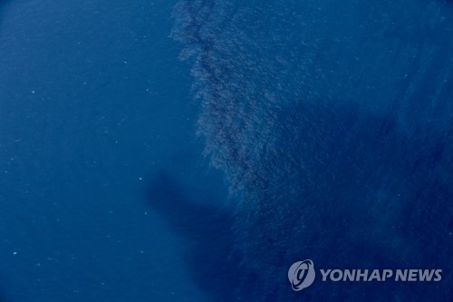 중국, 이란 침몰선에서 기름 확산…해양생태계 피해