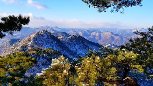 성불산에 내려앉은 눈 [독자 황주용씨 제공]