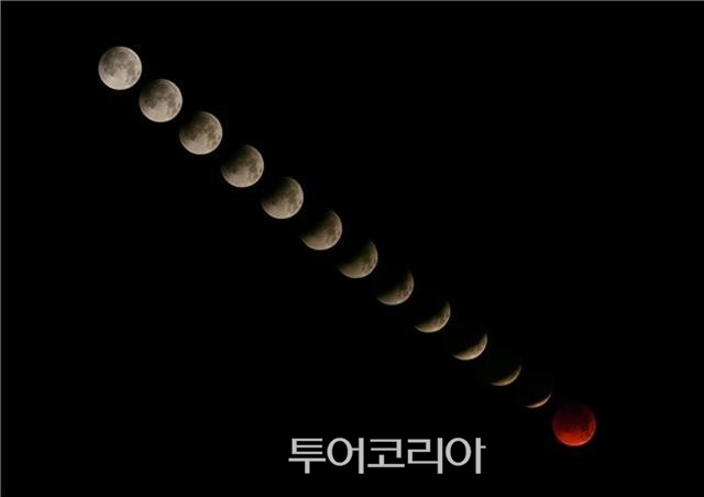 블루문투어 이미지
