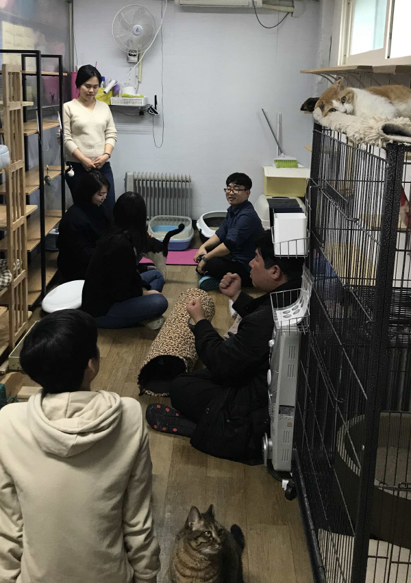 힐스 이미지