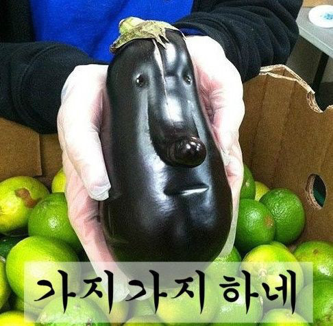 이오스 이미지