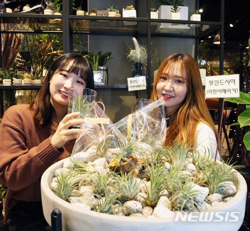 롯데몰 은평 이미지