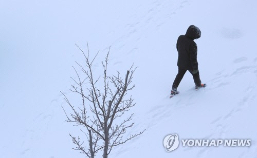 한파특보 이미지