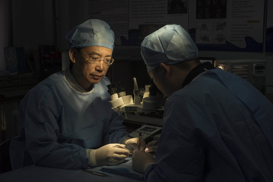 중국 하얼빈의과대 렌 샤오핑 교수는 카나베로 교수와 함께 인간 머리 이식수술인 '헤븐 프로젝트'를 주도하고 있다.