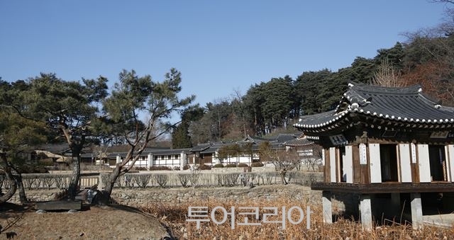 올림픽투어 이미지