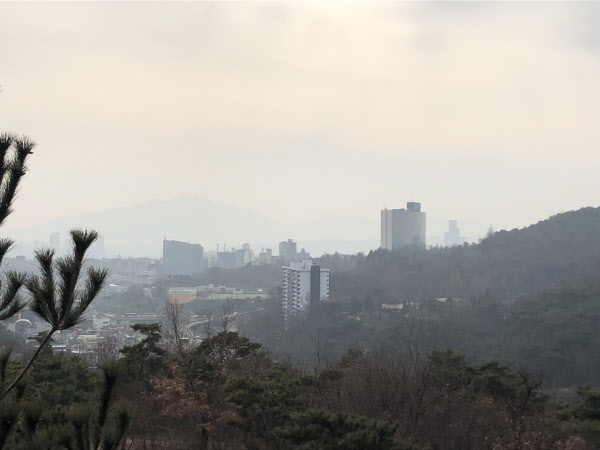 버티 이미지