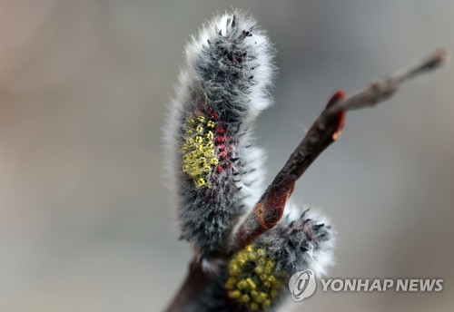 버들하우스 이미지