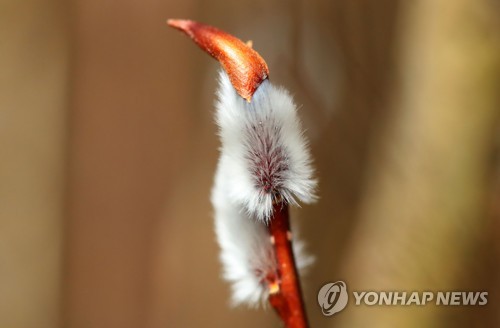 버들하우스 이미지
