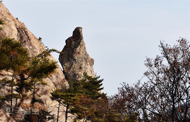 대장도의 자랑거리인 '할매 바위'. 아기를 업은 채 돌이 되었다는데, 상상력이 풍부한 사람에게 잘 보일 듯하다.