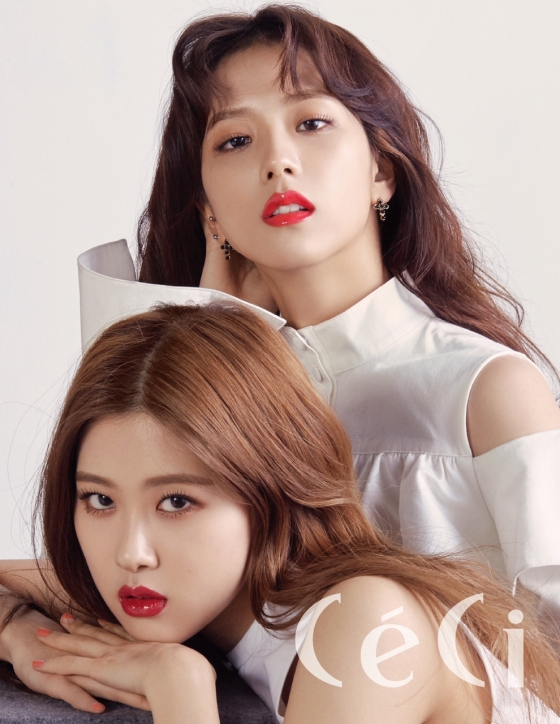로제 이미지