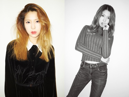 키세스 이미지