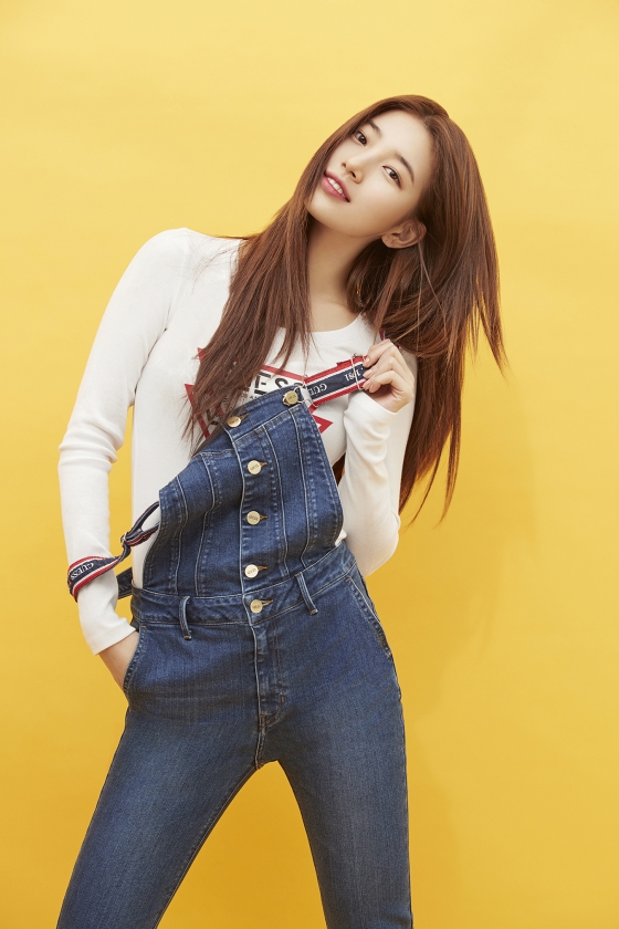 수지 이미지