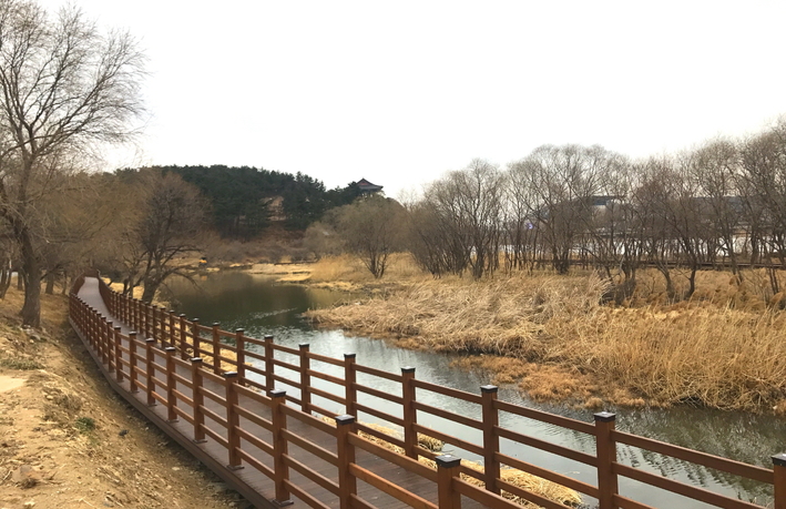 테마공원 이미지
