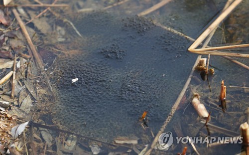 구로만물 이미지