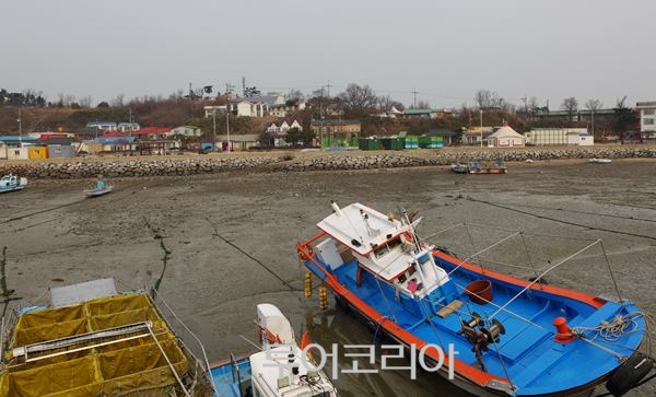 새봄여행 이미지