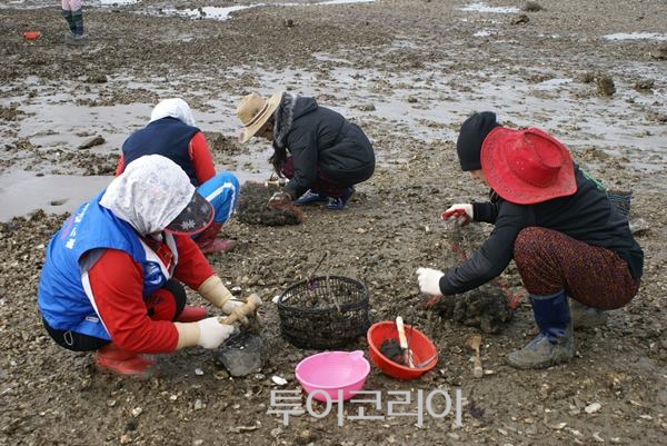 새봄여행 이미지