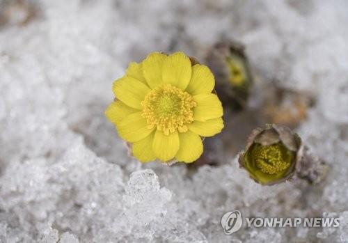 백두건축 이미지