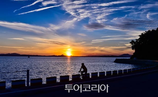 양지자전거 이미지