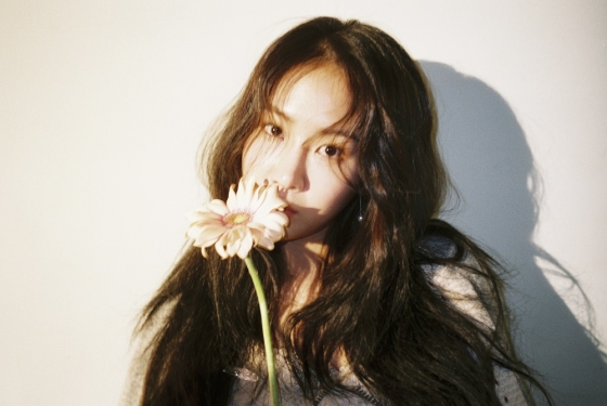소유 이미지