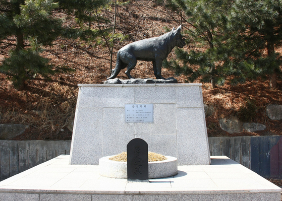 1990년 북한의 제4땅굴 수색작전 도중 폭사한 군견 헌트. 헌트에겐 인헌무공훈장과 함께 소위 계급이 주어졌다. 육군은 헌트 소위 동상도 세웠다. [사진 육군]